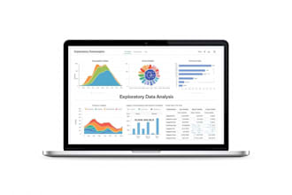 clean, explore and summarize your data through eda