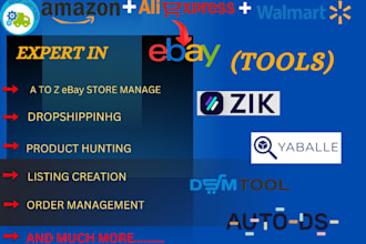 do amazon to ebay dropshipping through zik analytics tool