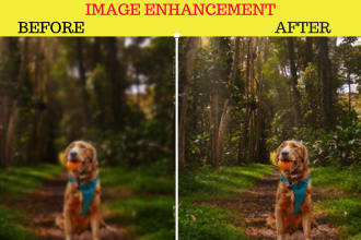 enhance your photos unleash the true potential of your images
