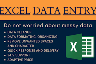 clean, format, and organize excel data professionally