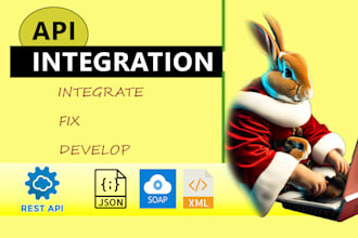 integrate, develop or fix rest, json and xml api