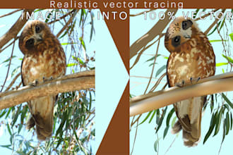 do your realistic vector tracing