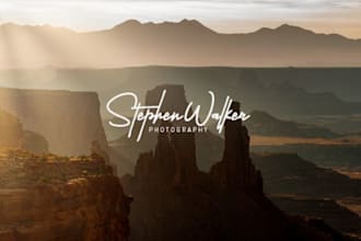 do modern signature logo design  in 24 hours