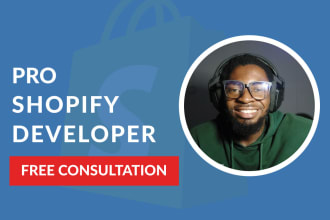build a shopify dropshipping store or ecommerce website