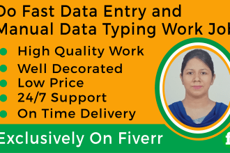 do excel data entry job and data typing work job