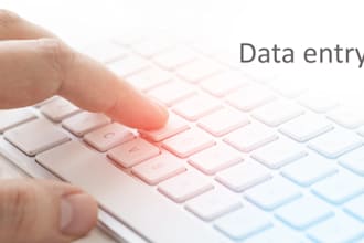 do accurate data entry, copy paste, and admin support