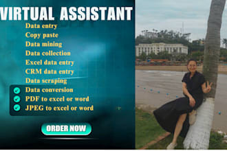 do data entry, excel data entry, web research, copy paste