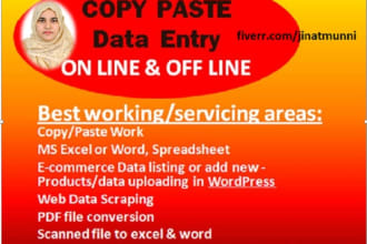 do data entry,copy paste,web research,lead generation