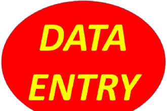 do data entry, data mining, data collection