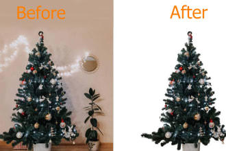 do background removal,transparent,resize and croping