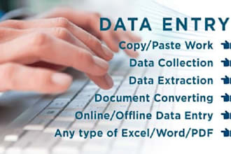 do data entry and data typing and ms word work for you