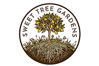 design a professional modern mushroom logo