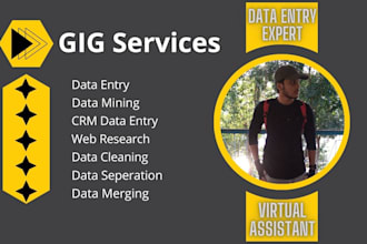 do data cleaning, merge, organize the excel, CRM, CSV data