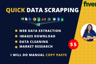 do manual data scraping from multiple sources to excel