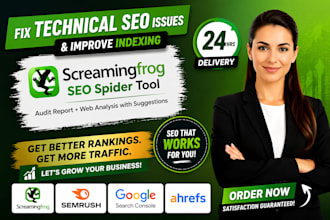 do technical SEO screaming frog audit, premium screaming frog crawl report