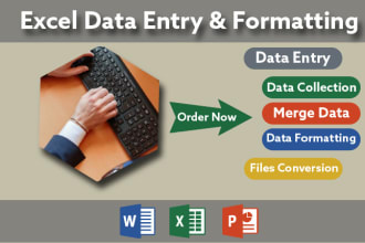 do excel data entry, form filling, data cleanup, formatting and merging