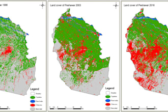 do image classification using google earth engine and in arcgis
