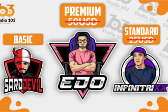 make a professional design mascot, character, human logo