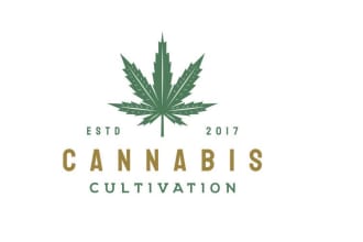 make a gorgeous and expert cannabis icon or logo for you