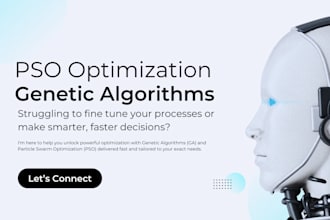 do genetic algorithm, pso optimizations in 24 hours
