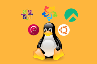 setup and secure new linux server cloud or onpremises