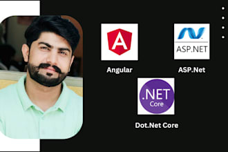 develop asp dot net core and angular applications for you
