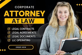draft corporate or nonprofit bylaws, agreements, contracts, nda, motion, lawsuit