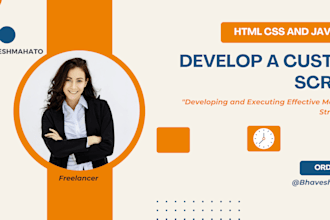 develop a custom script for blogspot website