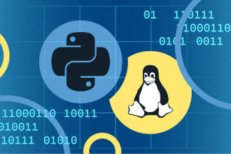 create or update python scripts for you