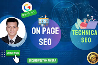 provide on page SEO and technical optimization for your site