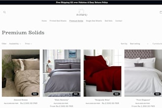 build a professional shopify store that converts