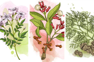 illustrate flowers or any other plants in detailed style
