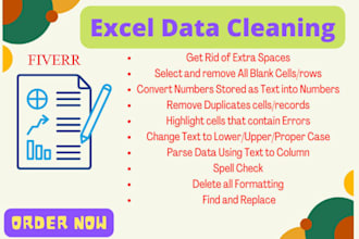 fast microsoft excel data cleaning,spreedsheet,expertediting