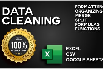 do data cleaning, formatting, and organizing in excel or CSV