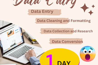do fastest data entry, PDF to word, typing, excel