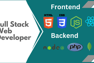 be your professional mern stack and full stack web developer