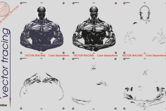 do color separation, vector tracing, redraw