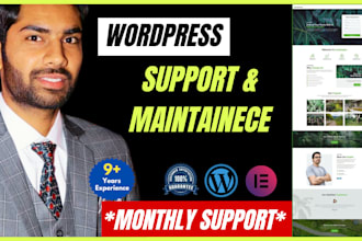 provide wordpress website maintenance on monthly basis