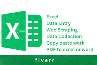 do web scraping and data entry on ms excel