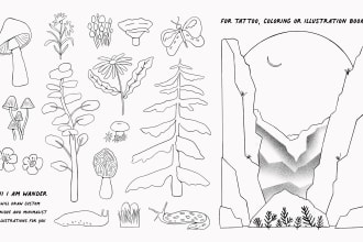 make linear illustrations for coloring or tattoo