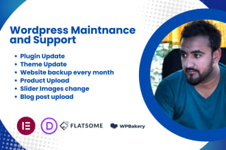 provide monthly wordpress support and maintenance
