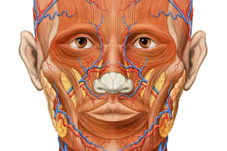 help you in human anatomy problems