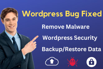 do wordpress bug fixed and customize it