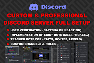 create a professional discord server full setup crypto, nft