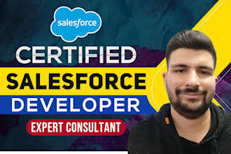 be your salesforce consultant, developer and administrator