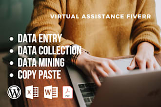 data entry, excel, web research and ecommerce data entry