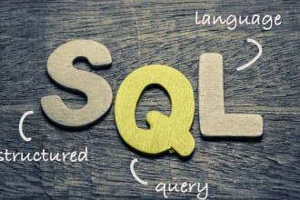 be your sql developer