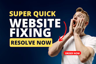 repair wordpress website and customize as per your need