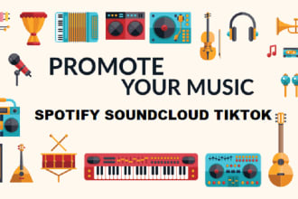 do vigorous music promotion to increase followers and streams