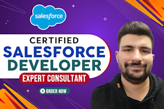 be your salesforce developer lwc,trigger,apex